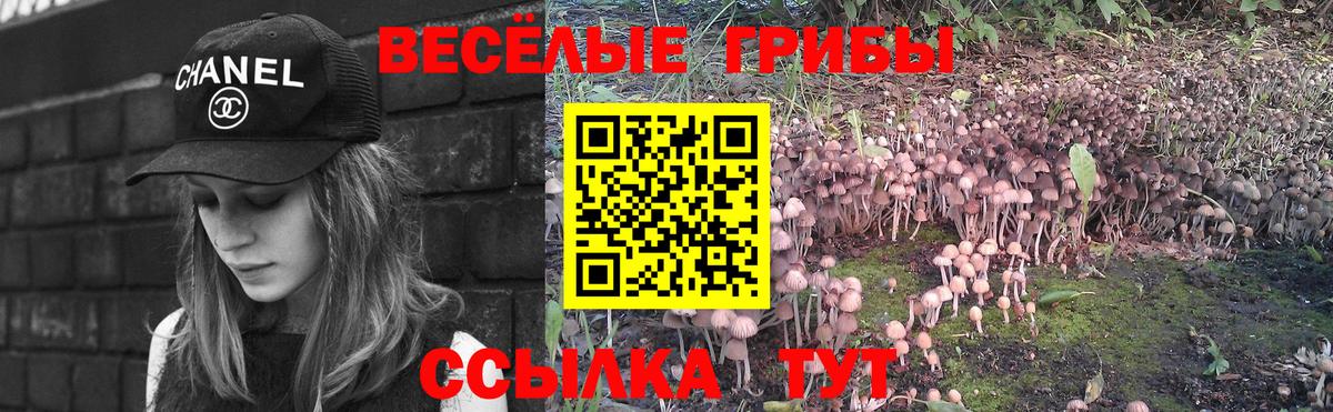 Псилоцибиновые грибы прущие грибы Мелеуз