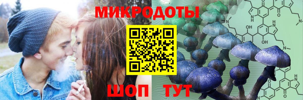 Мелеуз  Галлюциногенные грибы Magic Shrooms  Вход с VPN 